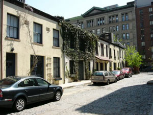 photo of mews