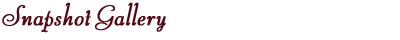 Snapshot Gallery
